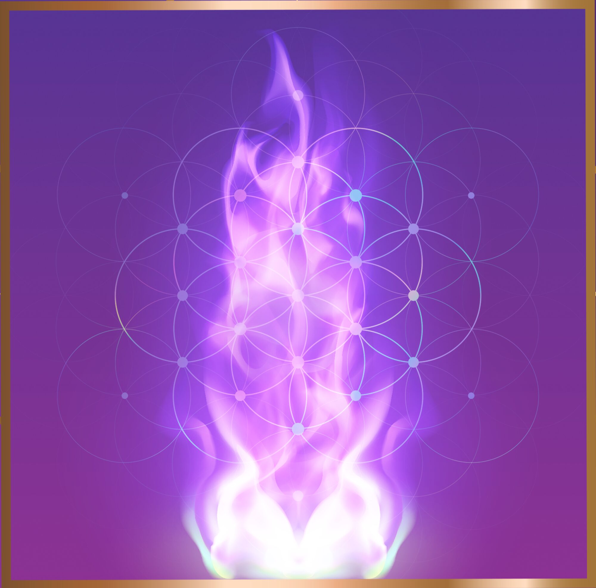 ALJ_Violet Flame3